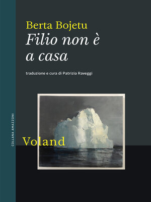 cover image of Filio non è a casa